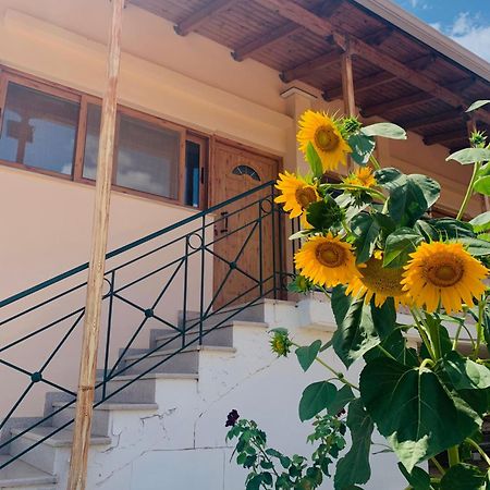 Tragana  Bokas Exotic House 아파트 외부 사진