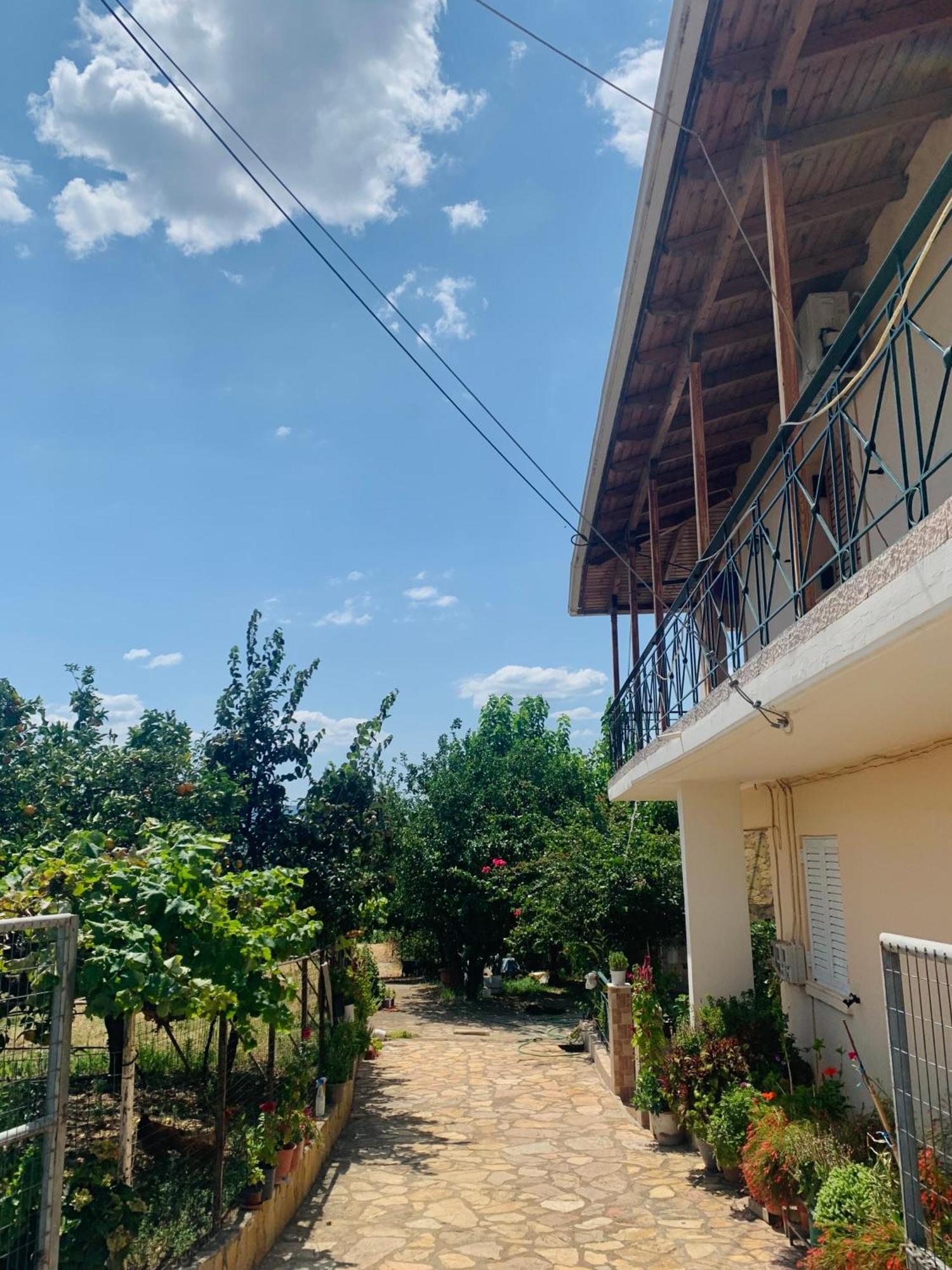 Tragana  Bokas Exotic House 아파트 외부 사진