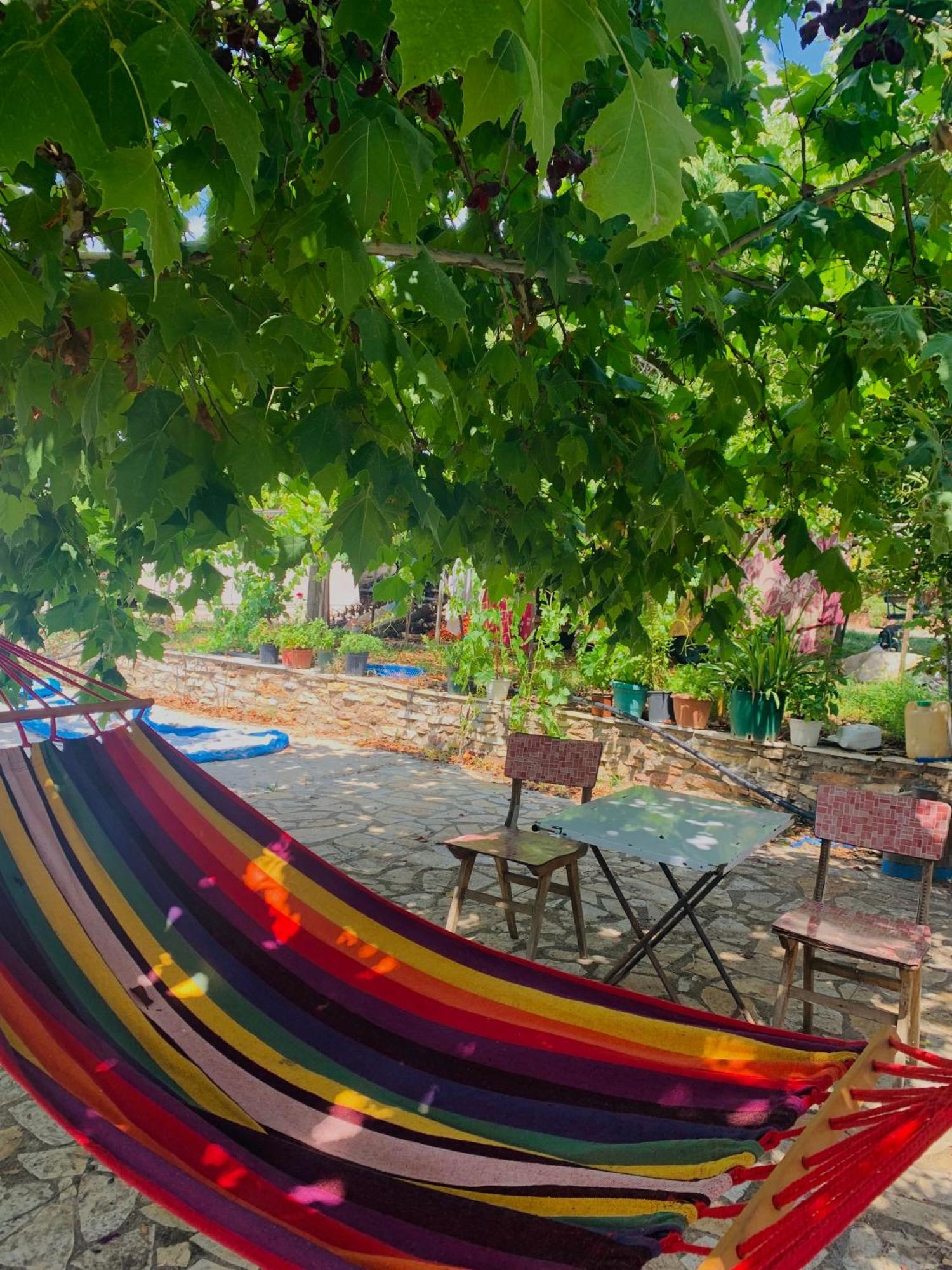 Tragana  Bokas Exotic House 아파트 외부 사진